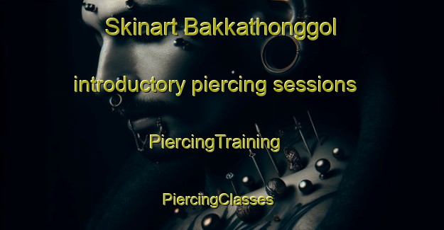 Skinart Bakkathonggol introductory piercing sessions | PiercingTraining | PiercingClasses | SkinartTraining-Korea