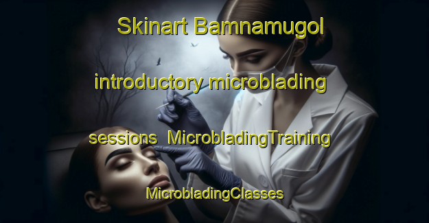 Skinart Bamnamugol introductory microblading sessions | #MicrobladingTraining #MicrobladingClasses #SkinartTraining-Korea