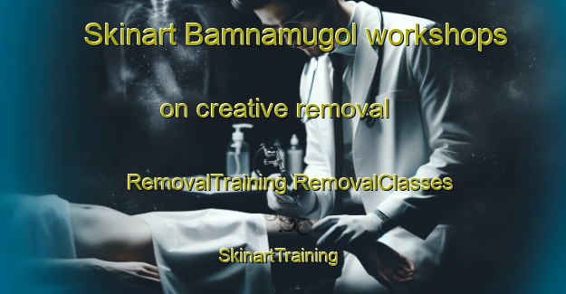 Skinart Bamnamugol workshops on creative removal | #RemovalTraining #RemovalClasses #SkinartTraining-Korea