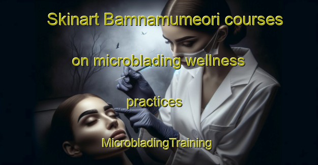 Skinart Bamnamumeori courses on microblading wellness practices | #MicrobladingTraining #MicrobladingClasses #SkinartTraining-Korea