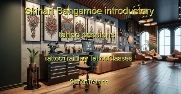 Skinart Bangamoe introductory tattoo sessions | #TattooTraining #TattooClasses #SkinartTraining-Korea