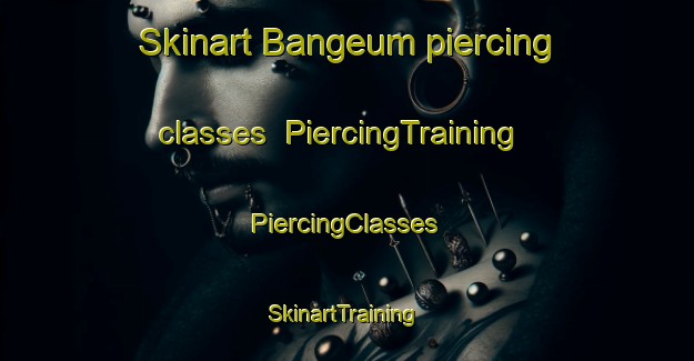 Skinart Bangeum piercing classes | #PiercingTraining #PiercingClasses #SkinartTraining-Korea