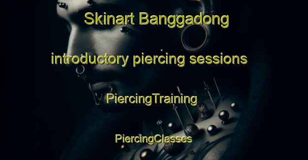 Skinart Banggadong introductory piercing sessions | #PiercingTraining #PiercingClasses #SkinartTraining-Korea