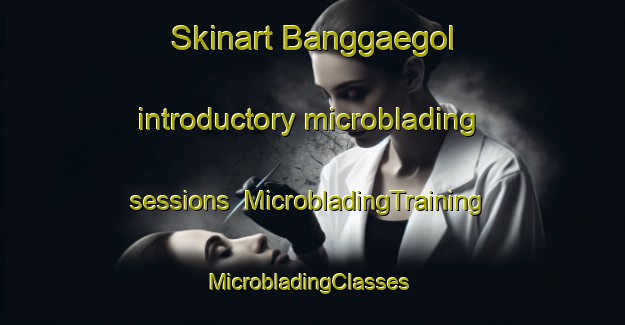 Skinart Banggaegol introductory microblading sessions | MicrobladingTraining | MicrobladingClasses | SkinartTraining-Korea