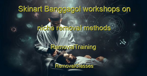 Skinart Banggagol workshops on niche removal methods | RemovalTraining | RemovalClasses | SkinartTraining-Korea