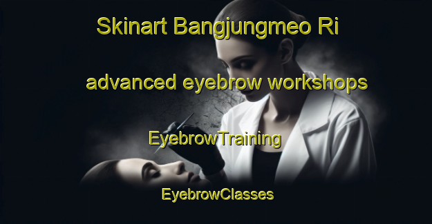 Skinart Bangjungmeo Ri advanced eyebrow workshops | EyebrowTraining | EyebrowClasses | SkinartTraining-Korea