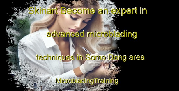 Skinart Become an expert in advanced microblading techniques in Somo Dong area | MicrobladingTraining | MicrobladingClasses | SkinartTraining-Korea