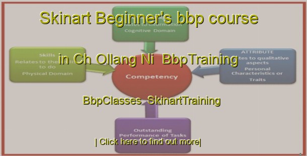 Skinart Beginner's bbp course in Ch Ollang Ni | BbpTraining | BbpClasses | SkinartTraining-Korea
