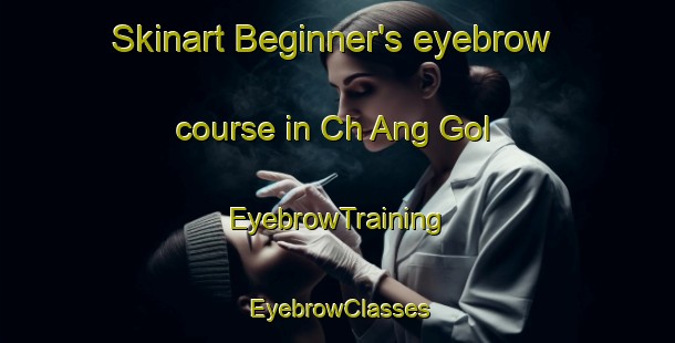 Skinart Beginner's eyebrow course in Ch Ang Gol | EyebrowTraining | EyebrowClasses | SkinartTraining-Korea