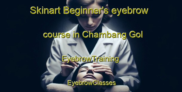 Skinart Beginner's eyebrow course in Chambang Gol | EyebrowTraining | EyebrowClasses | SkinartTraining-Korea