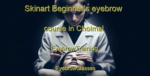 Skinart Beginner's eyebrow course in Cholmal | EyebrowTraining | EyebrowClasses | SkinartTraining-Korea