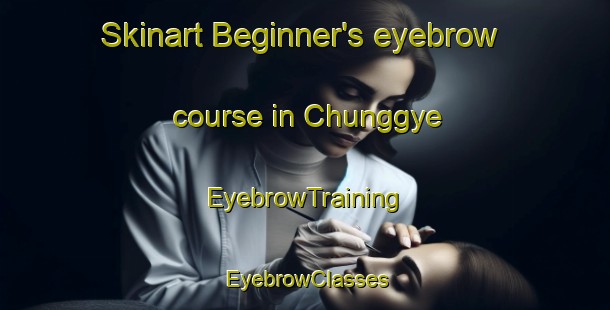 Skinart Beginner's eyebrow course in Chunggye | EyebrowTraining | EyebrowClasses | SkinartTraining-Korea