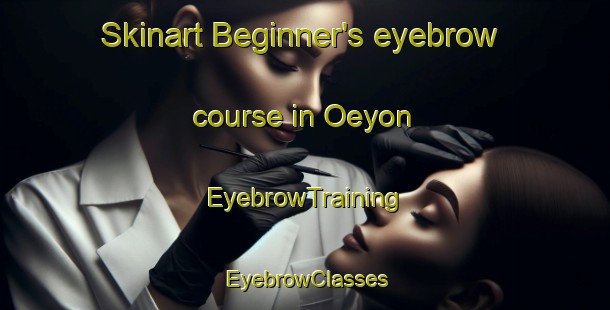 Skinart Beginner's eyebrow course in Oeyon | EyebrowTraining | EyebrowClasses | SkinartTraining-Korea