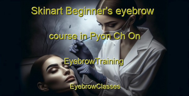 Skinart Beginner's eyebrow course in Pyon Ch On | EyebrowTraining | EyebrowClasses | SkinartTraining-Korea