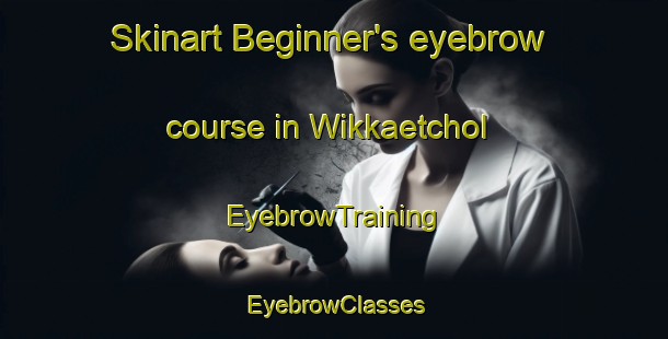 Skinart Beginner's eyebrow course in Wikkaetchol | EyebrowTraining | EyebrowClasses | SkinartTraining-Korea