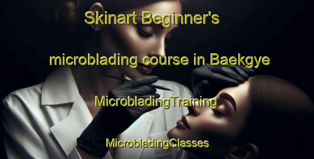 Skinart Beginner's microblading course in Baekgye | #MicrobladingTraining #MicrobladingClasses #SkinartTraining-Korea