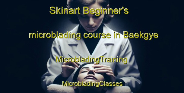 Skinart Beginner's microblading course in Baekgye | #MicrobladingTraining #MicrobladingClasses #SkinartTraining-Korea