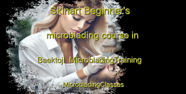 Skinart Beginner's microblading course in Baektoji | #MicrobladingTraining #MicrobladingClasses #SkinartTraining-Korea