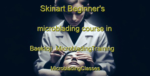 Skinart Beginner's microblading course in Baektoji | #MicrobladingTraining #MicrobladingClasses #SkinartTraining-Korea