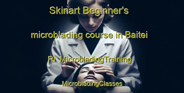 Skinart Beginner's microblading course in Baitei Ri | #MicrobladingTraining #MicrobladingClasses #SkinartTraining-Korea