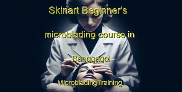 Skinart Beginner's microblading course in Banggagol | #MicrobladingTraining #MicrobladingClasses #SkinartTraining-Korea