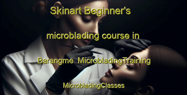 Skinart Beginner's microblading course in Barangme | #MicrobladingTraining #MicrobladingClasses #SkinartTraining-Korea