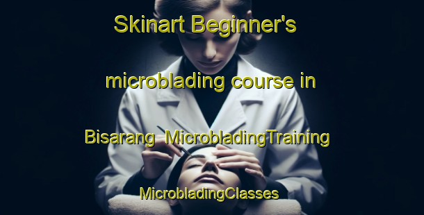 Skinart Beginner's microblading course in Bisarang | MicrobladingTraining | MicrobladingClasses | SkinartTraining-Korea