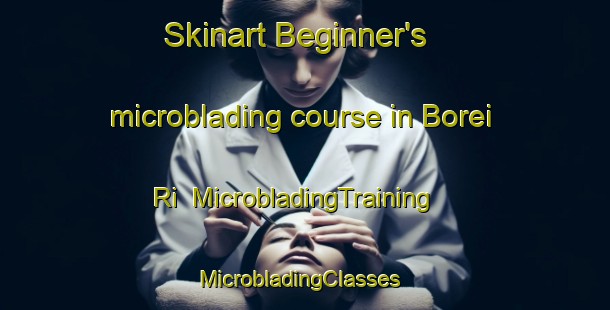 Skinart Beginner's microblading course in Borei Ri | MicrobladingTraining | MicrobladingClasses | SkinartTraining-Korea