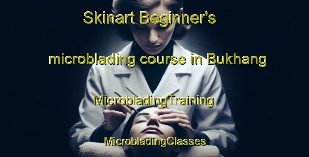 Skinart Beginner's microblading course in Bukhang | #MicrobladingTraining #MicrobladingClasses #SkinartTraining-Korea