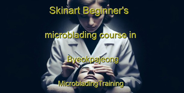 Skinart Beginner's microblading course in Byeokpajeong | #MicrobladingTraining #MicrobladingClasses #SkinartTraining-Korea