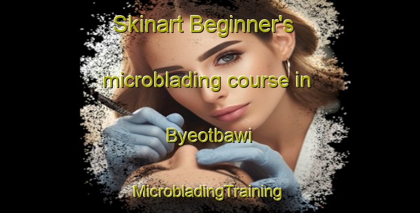 Skinart Beginner's microblading course in Byeotbawi | #MicrobladingTraining #MicrobladingClasses #SkinartTraining-Korea