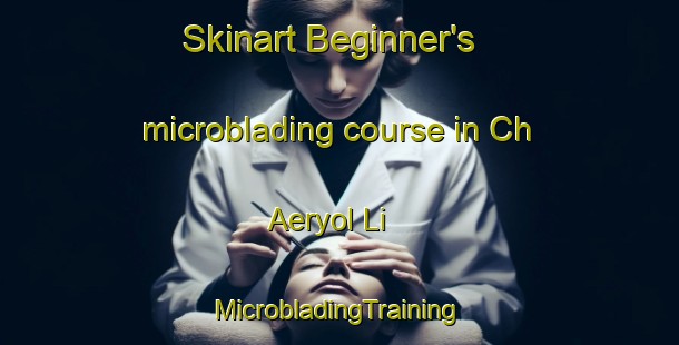 Skinart Beginner's microblading course in Ch Aeryol Li | #MicrobladingTraining #MicrobladingClasses #SkinartTraining-Korea