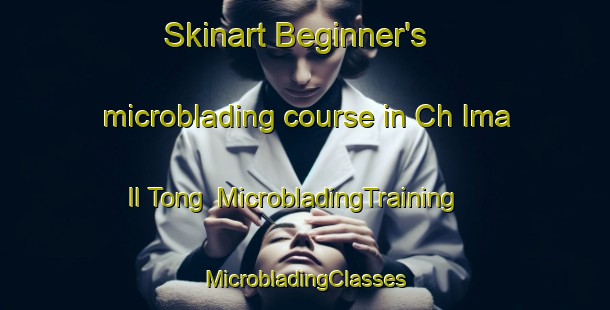 Skinart Beginner's microblading course in Ch Ima Il Tong | #MicrobladingTraining #MicrobladingClasses #SkinartTraining-Korea