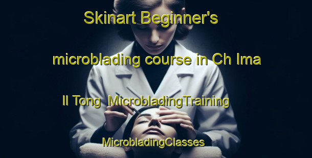 Skinart Beginner's microblading course in Ch Ima Il Tong | MicrobladingTraining | MicrobladingClasses | SkinartTraining-Korea