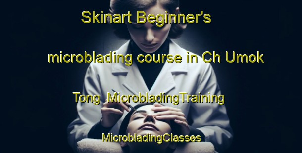 Skinart Beginner's microblading course in Ch Umok Tong | #MicrobladingTraining #MicrobladingClasses #SkinartTraining-Korea