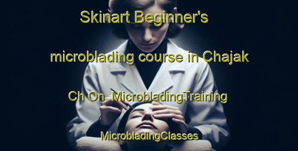 Skinart Beginner's microblading course in Chajak Ch On | #MicrobladingTraining #MicrobladingClasses #SkinartTraining-Korea