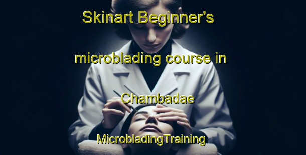 Skinart Beginner's microblading course in Chambadae | #MicrobladingTraining #MicrobladingClasses #SkinartTraining-Korea