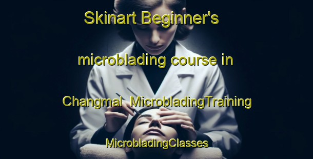 Skinart Beginner's microblading course in Changmal | #MicrobladingTraining #MicrobladingClasses #SkinartTraining-Korea