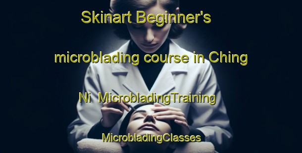 Skinart Beginner's microblading course in Ching Ni | #MicrobladingTraining #MicrobladingClasses #SkinartTraining-Korea