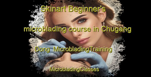 Skinart Beginner's microblading course in Chugang Dong | MicrobladingTraining | MicrobladingClasses | SkinartTraining-Korea