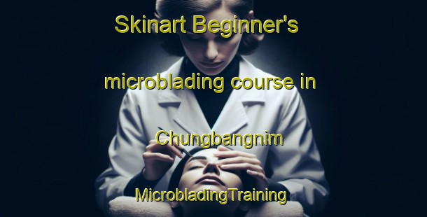 Skinart Beginner's microblading course in Chungbangnim | #MicrobladingTraining #MicrobladingClasses #SkinartTraining-Korea