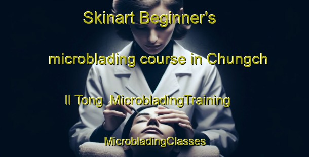 Skinart Beginner's microblading course in Chungch Il Tong | #MicrobladingTraining #MicrobladingClasses #SkinartTraining-Korea