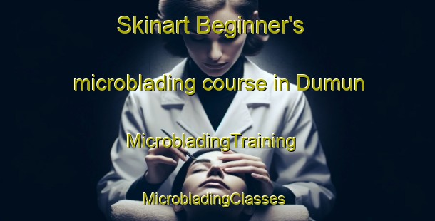 Skinart Beginner's microblading course in Dumun | MicrobladingTraining | MicrobladingClasses | SkinartTraining-Korea
