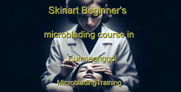 Skinart Beginner's microblading course in Eumseonggol | #MicrobladingTraining #MicrobladingClasses #SkinartTraining-Korea