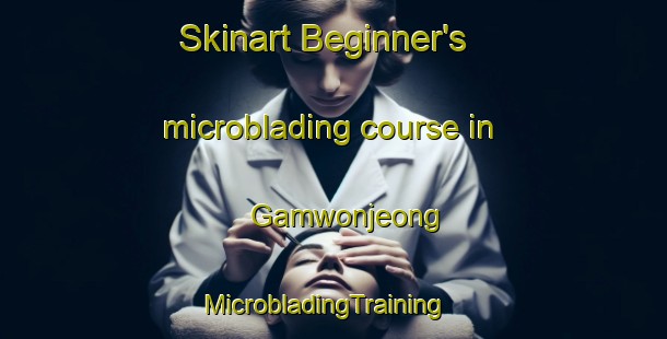 Skinart Beginner's microblading course in Gamwonjeong | MicrobladingTraining | MicrobladingClasses | SkinartTraining-Korea