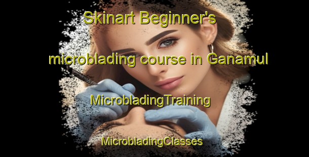 Skinart Beginner's microblading course in Ganamul | MicrobladingTraining | MicrobladingClasses | SkinartTraining-Korea