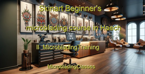 Skinart Beginner's microblading course in Haech Il | MicrobladingTraining | MicrobladingClasses | SkinartTraining-Korea