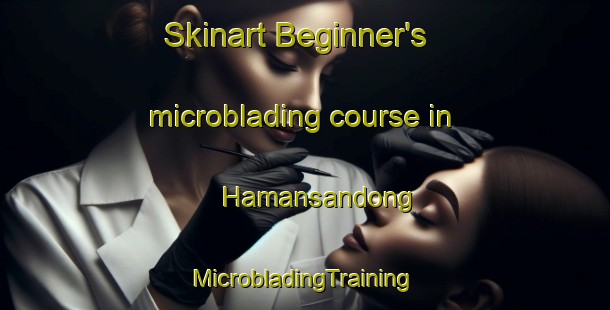 Skinart Beginner's microblading course in Hamansandong | #MicrobladingTraining #MicrobladingClasses #SkinartTraining-Korea