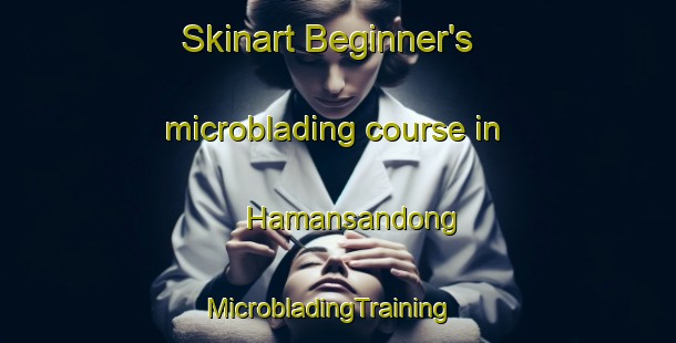 Skinart Beginner's microblading course in Hamansandong | MicrobladingTraining | MicrobladingClasses | SkinartTraining-Korea