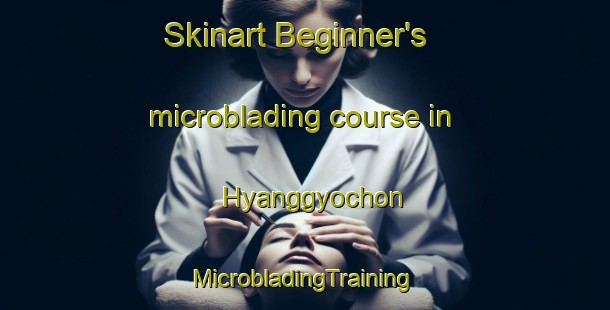 Skinart Beginner's microblading course in Hyanggyochon | #MicrobladingTraining #MicrobladingClasses #SkinartTraining-Korea